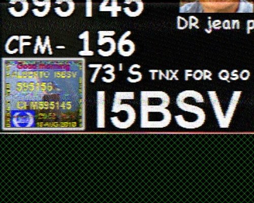 2010-08-18 100249 {20m} {Scottie 1}.jpg