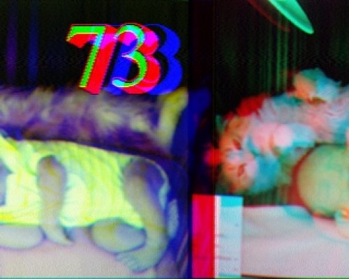 2011-11-26 144536 {} {Scottie 1}.jpg