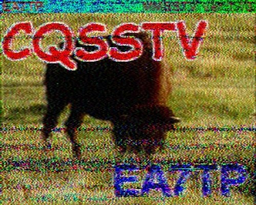 2011-11-26 144953 {} {Martin 2}.jpg