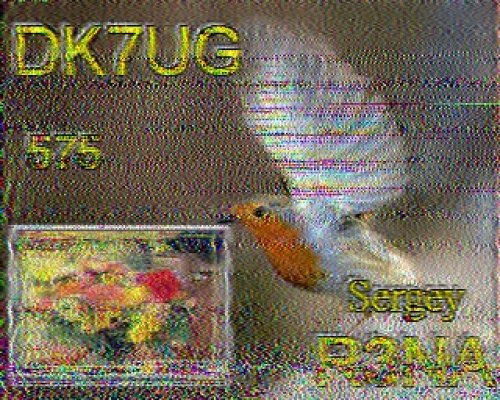 2012-10-30 134703 {20m} {Martin 2}.jpg