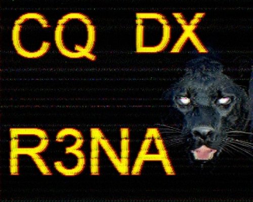 2012-10-30 170127 {20m} {Scottie 1}.jpg