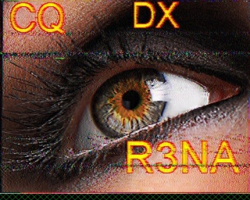 2012-10-30 172005 {20m} {Scottie 1}.jpg