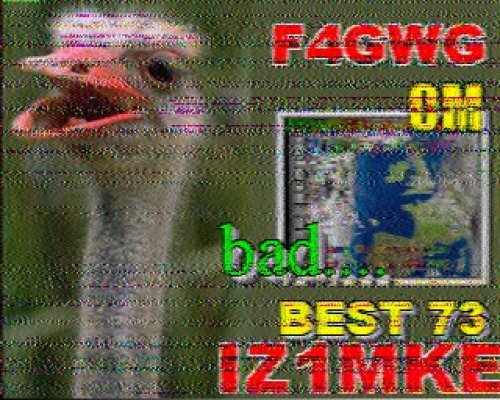 2012-11-04 081221 {20m} {Scottie 2}.jpg