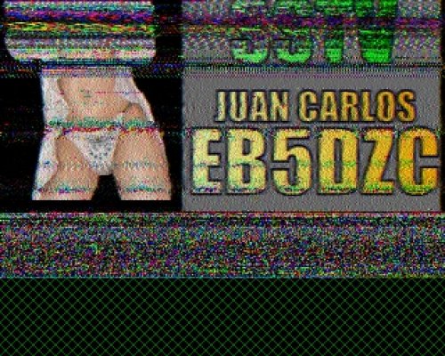 2012-11-04 103507 {20m} {Scottie 1}.jpg