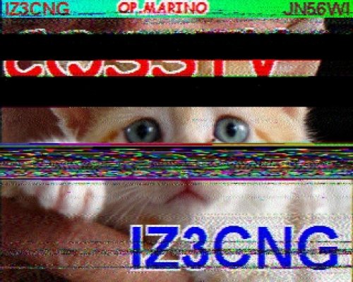 2012-11-04 104958 {20m} {Scottie 1}.jpg