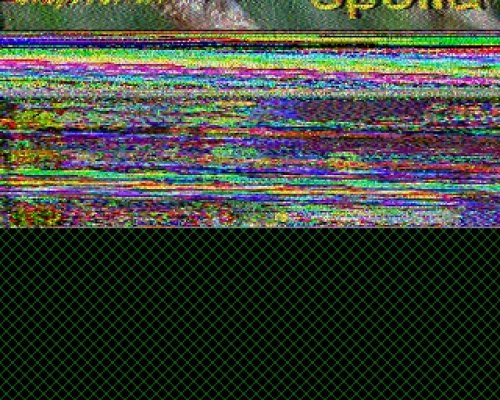 2012-11-04 110608 {20m} {Scottie 2}.jpg