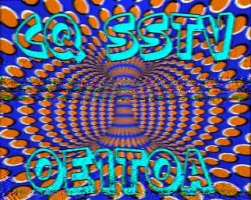 2012-11-04 113046 {20m} {Martin 2}.jpg