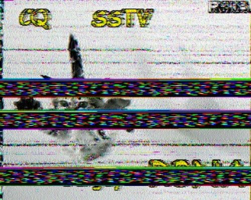 2012-11-04 113430 {20m} {Scottie 1}.jpg