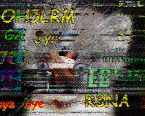 2012-11-04 115645 {20m} {Scottie 1}.jpg