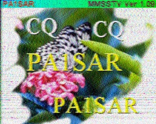 2012-11-04 120033 {10m} {Martin 2}.jpg