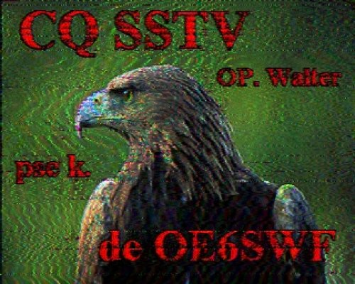 2012-11-04 124028 {20m} {Scottie 1}.jpg