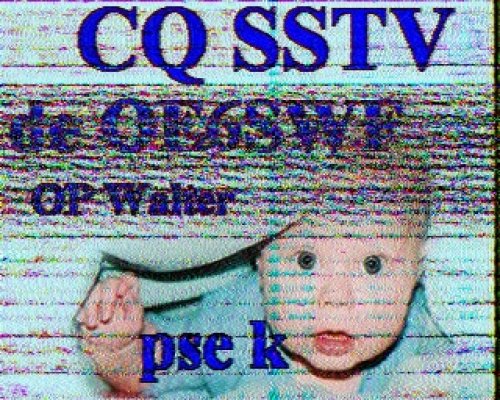 2012-11-04 124245 {20m} {Scottie 1}.jpg