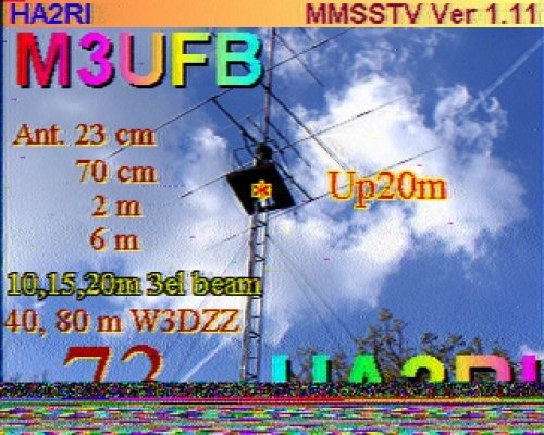 2012-11-04 130220 {20m} {Scottie 1}.jpg