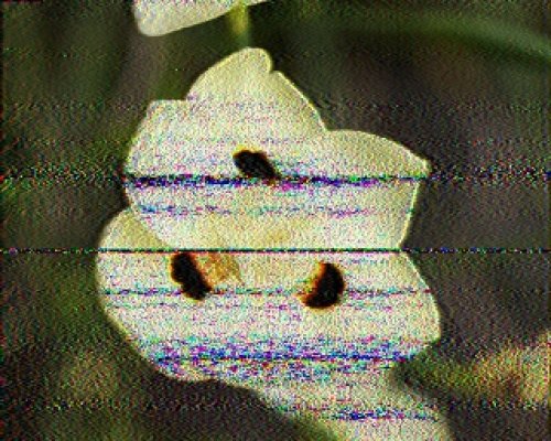 2012-11-04 132316 {20m} {Scottie 2}.jpg