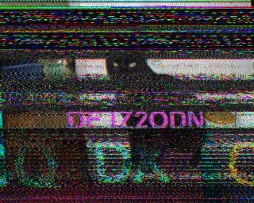 2012-11-04 133804 {20m} {Scottie 1}.jpg