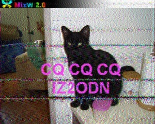 2012-11-04 134315 {20m} {Martin 2}.jpg