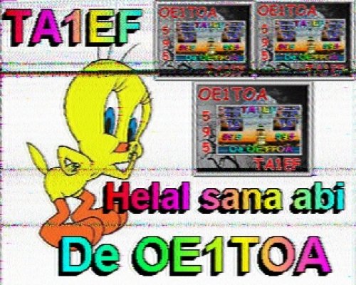 2012-11-04 135423 {20m} {Martin 1}.jpg