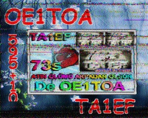 2012-11-04 140031 {20m} {Martin 1}.jpg