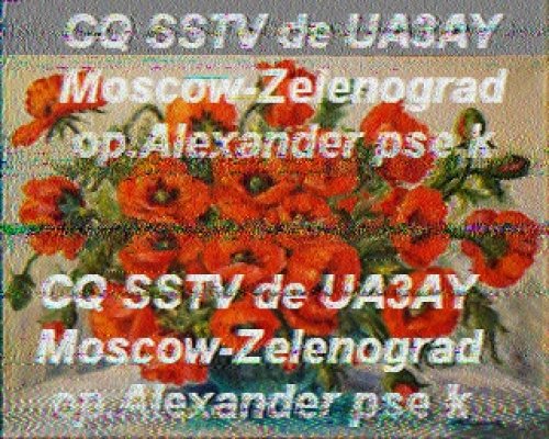 2012-11-04 144247 {20m} {Scottie 1}.jpg