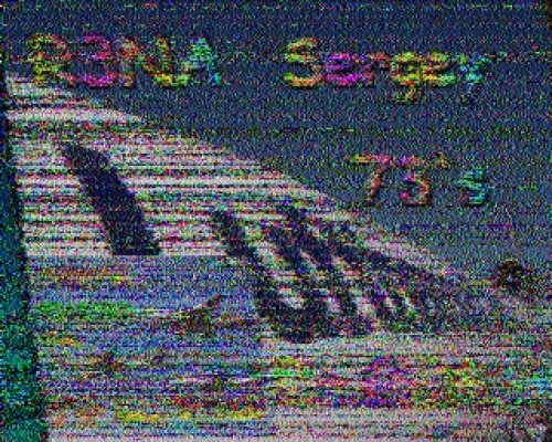 2012-11-04 151639 {20m} {Scottie 1}.jpg